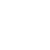 Terms & Conditions Icon